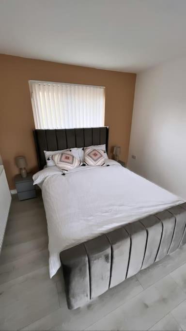 3 Stories, 5 Bedroom House In Prime Location With Balcony And Shared Garden Liverpool Exteriör bild